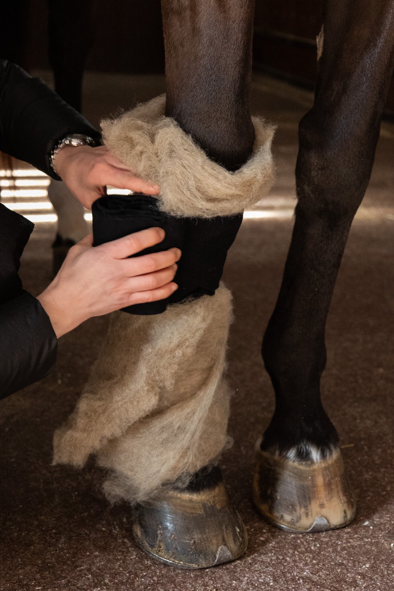 Woolen Hug Bundle - Woolherd