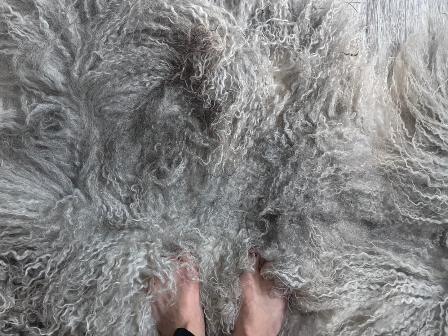 Long-haired Sheepskin light