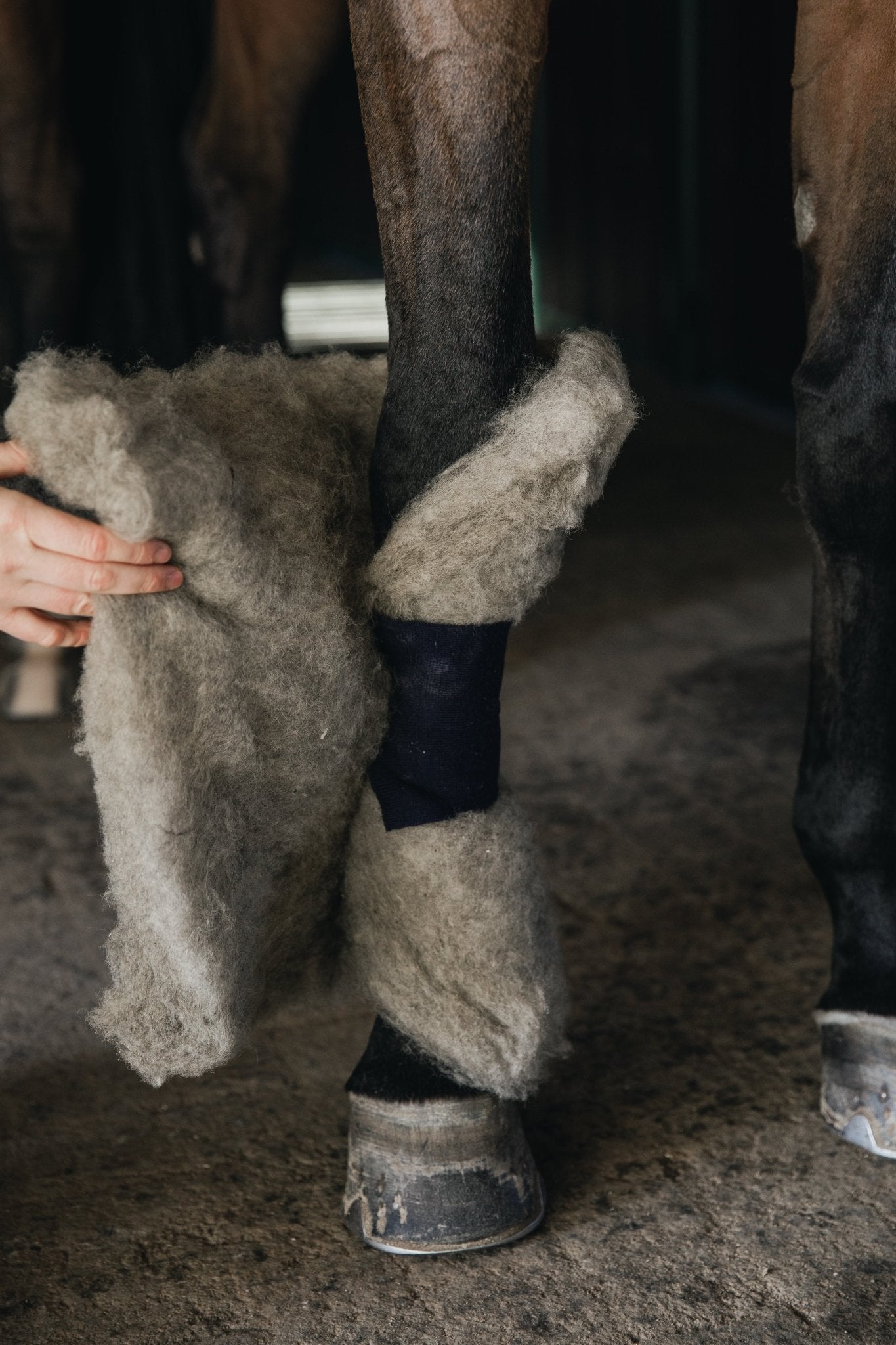 Woolpad - Woolherd