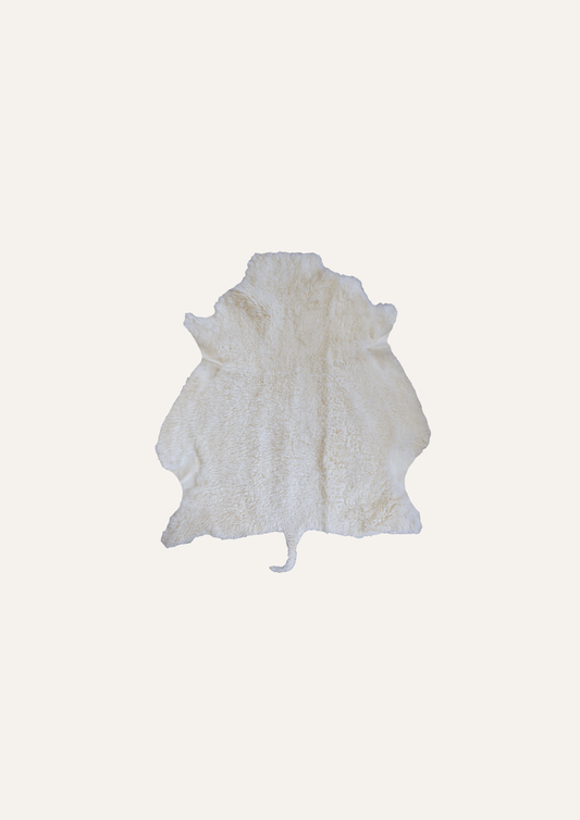 Sheep hide white - Woolherd