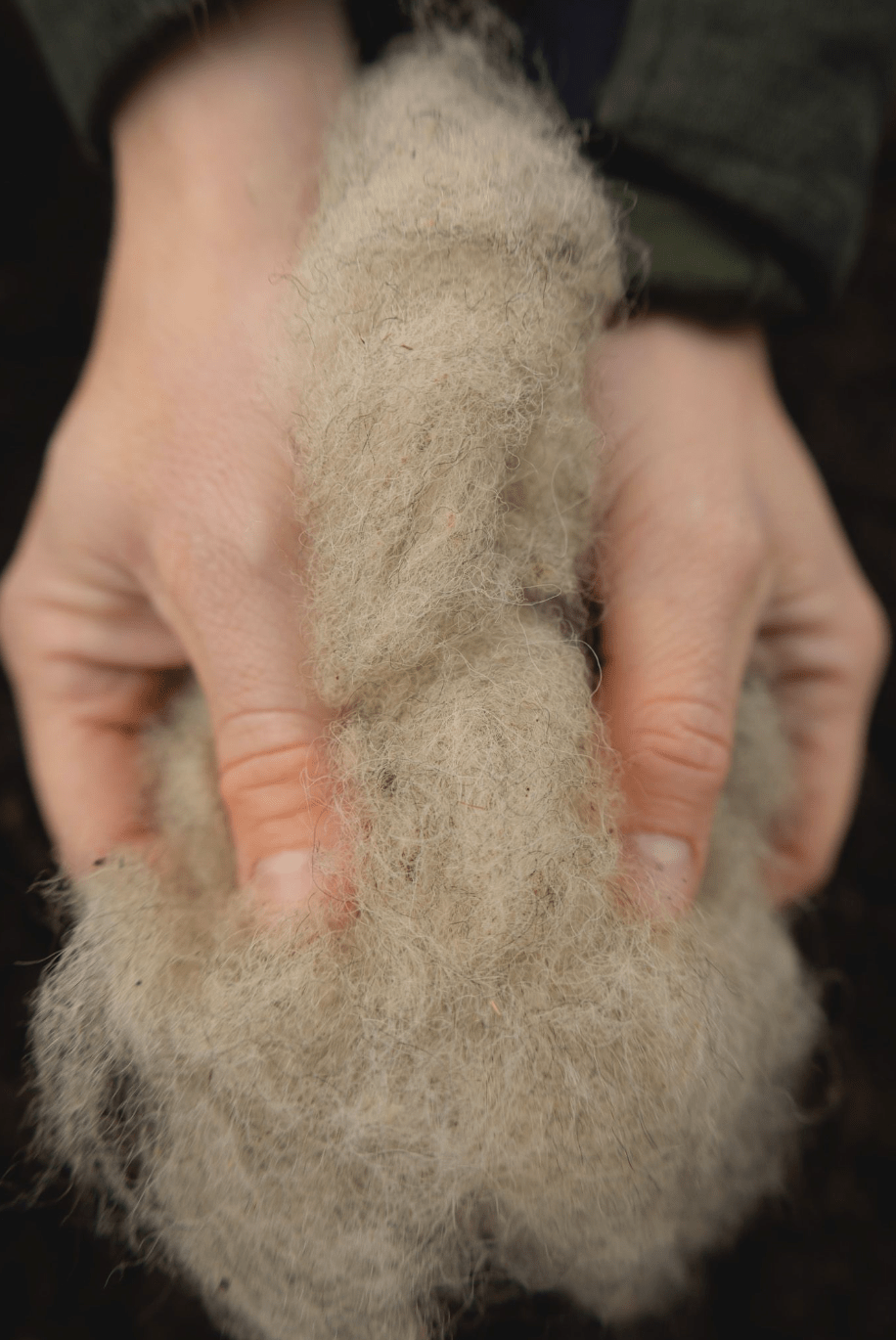 Biowool - Magicwool - Woolherd