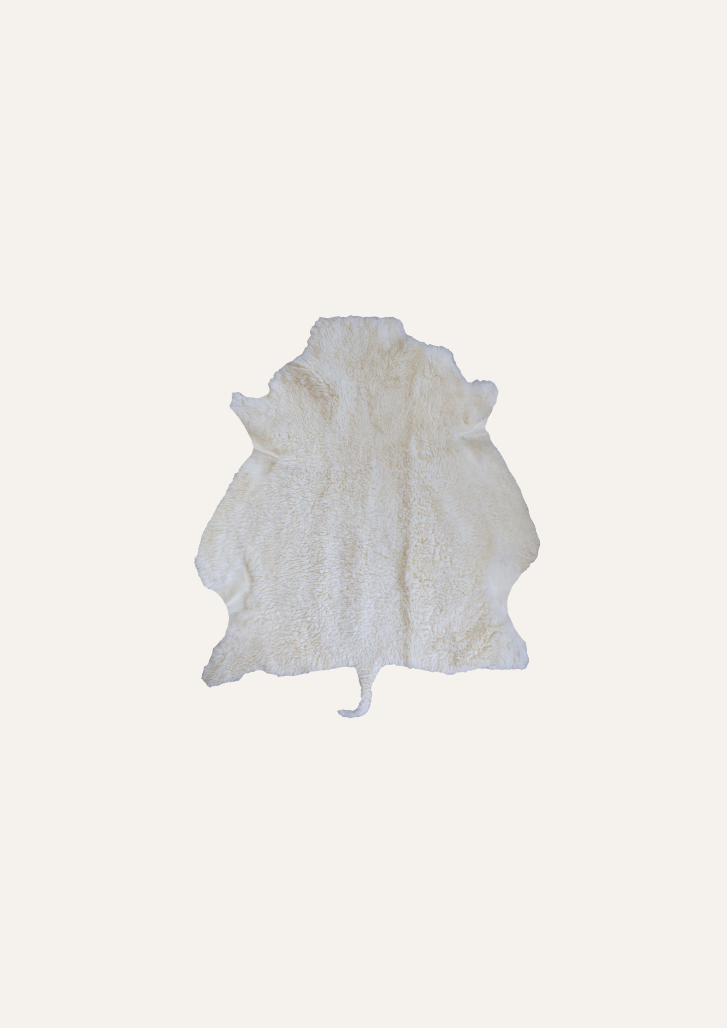 Sheep hide white - Woolherd